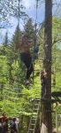 IMG-20240507-WA0008